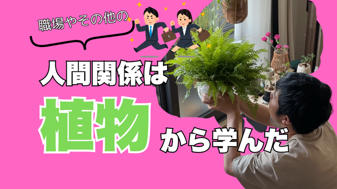 【人間関係】植物と暮らして８年人間関係は植物から学びました！
