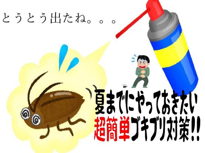 【ゴキ◯リ対策】アイテム比較3選