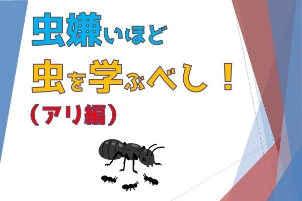 害虫退散!【アリ編】