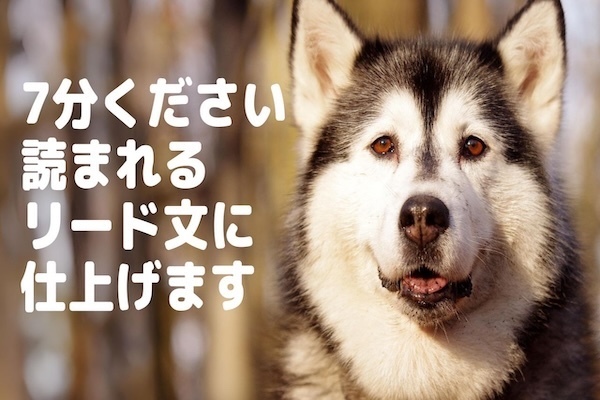 【稼ぐ力】Webライティングで使える最強のリード文の型【初心者でも安心！】