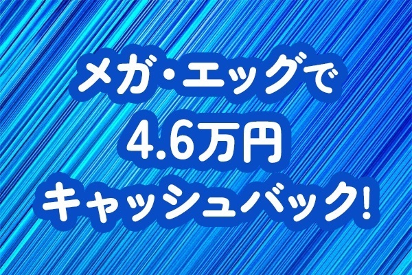メガ・エッグで4.6万円キャッシュバック！〜マネフォ光に乗り換えられない人へ〜