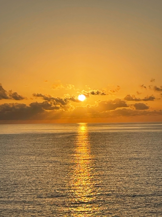 忙しい～けれど充実した1日