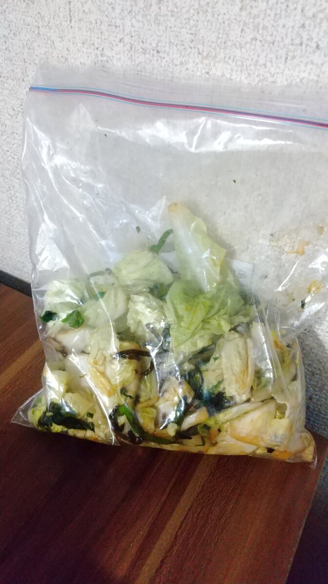 自炊は副業だ！第2回目「白菜の即席漬け」