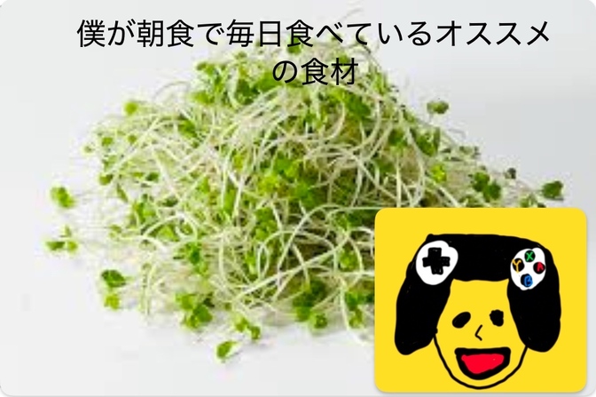 朝食の大切さと僕が朝食に食べているオススメの食材について！