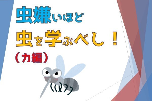 害虫退散！【カ編】