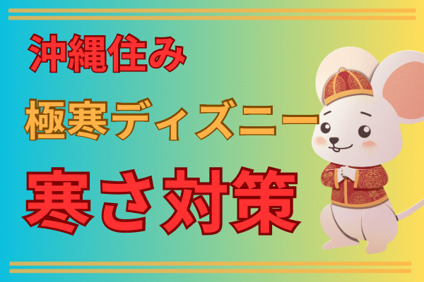 沖縄住み　極寒のディズニーの寒さ対策