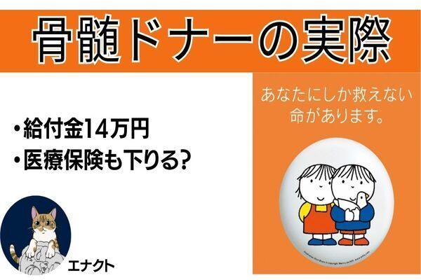 【お金がもらえちゃう⁉】骨髄ドナーはやる価値あり