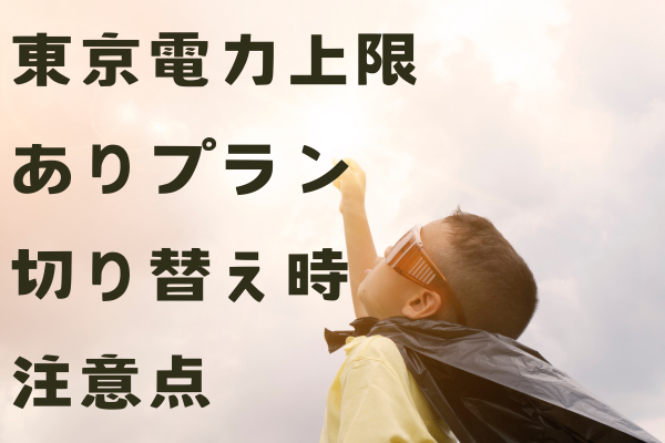 東京電力従量電灯プラン（上限あり）への切替え時の注意点と対策
