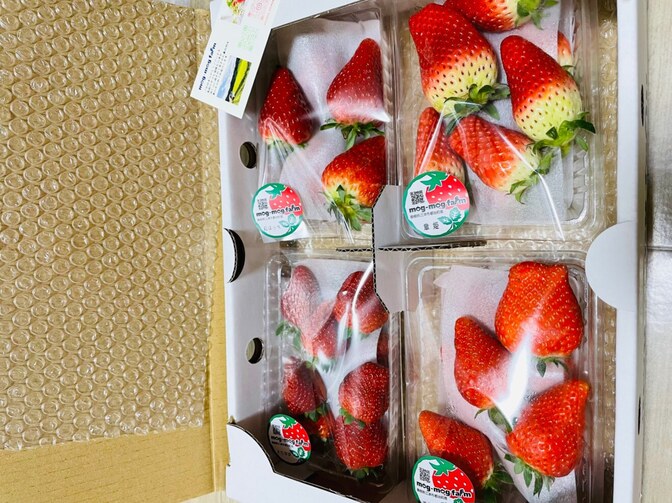 リベシティファーマーズマーケットで買ったいちご🍓リベポイント使ったよ！