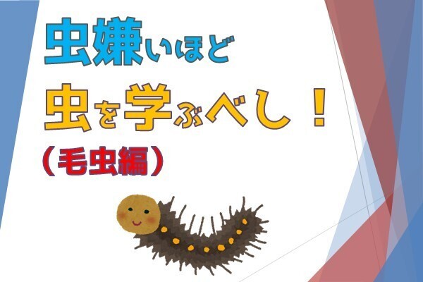 害虫退散！【毛虫編】
