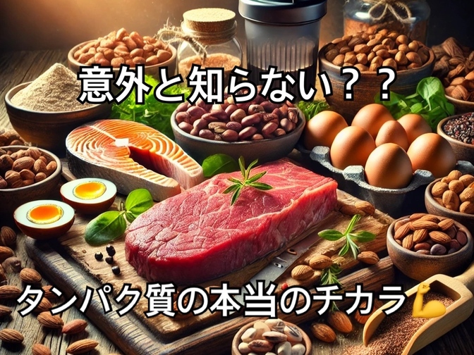 【意外と知らない？】タンパク質の本当のチカラ💪