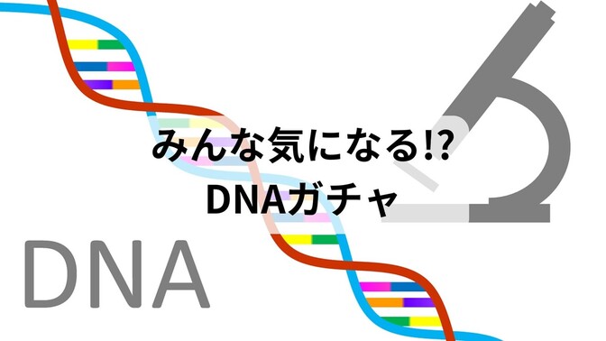 遺伝子検査をやってみた感想