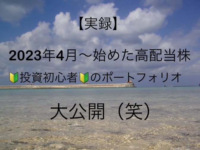 【実録】2023年4月から始めた高配当、私のポートフォリオを大公開（笑）