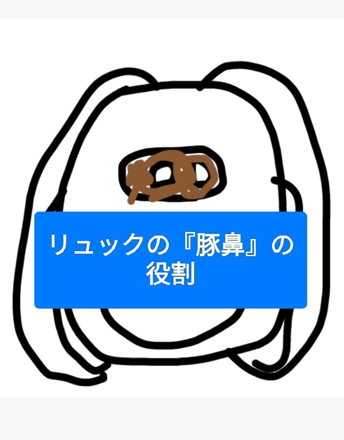 リュックの『豚鼻』には、ちゃんと役割があります。