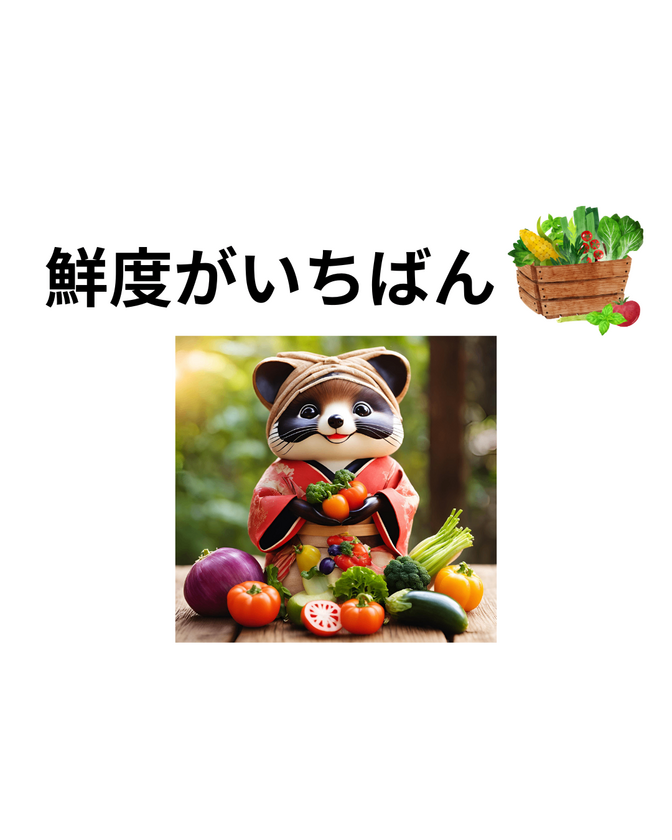 野菜価格高騰！！！野菜農家目線でお伝えする　お店で価値のある野菜の選び方