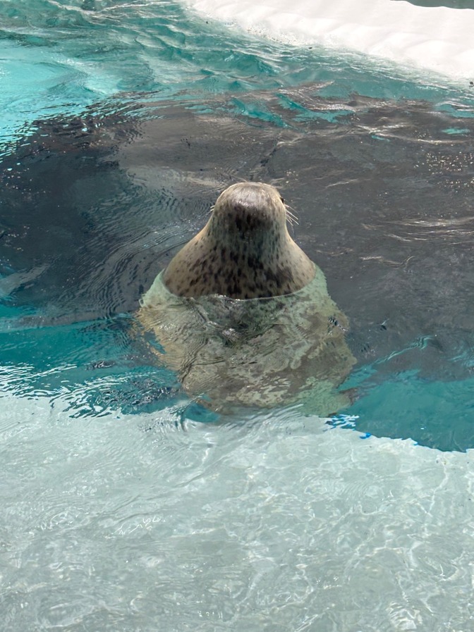「プランクvs腕立て伏せ」論争！