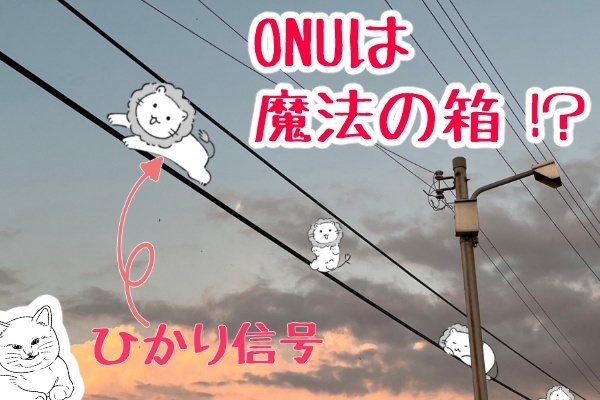 光回線をライオンとネコに例えてみよう！ ONUは魔法の箱！？