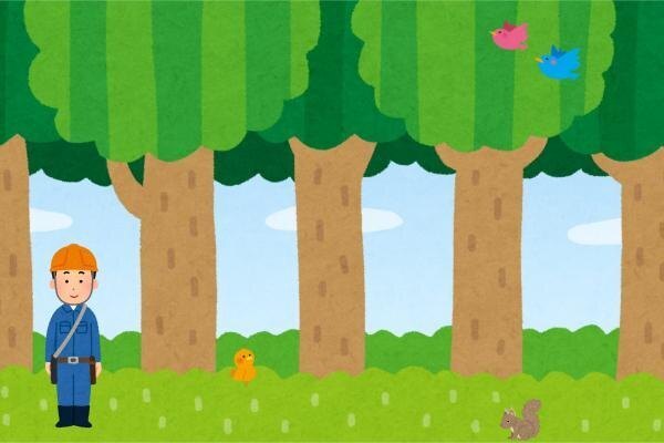 【体験談】山林を相続してから売却するまでの話