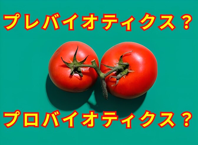 【プレバイオティクス】と【プロバイオティクス】とは？+おまけ