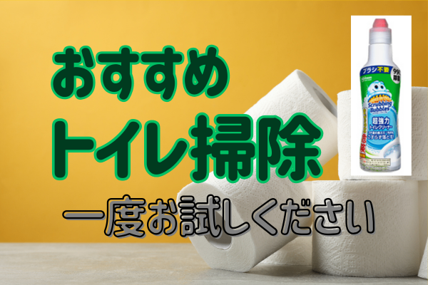 【ズボラ必見!!】ついに辿り着いた、便器掃除の最適解