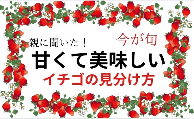 甘いイチゴの見分け方！