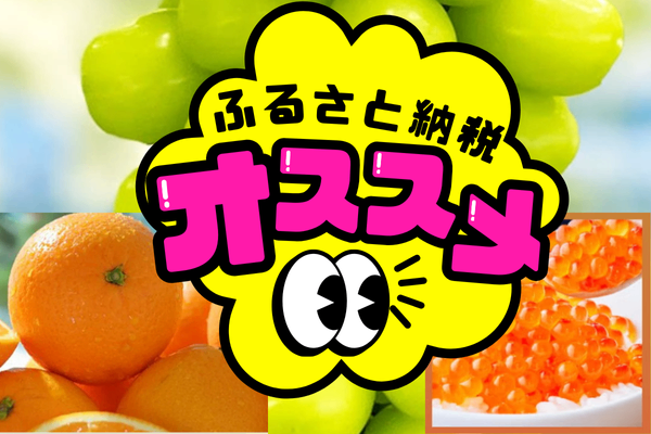 【ふるさと納税おすすめ返礼品5選！】年間2〜3万円の生活費を削減できた話
