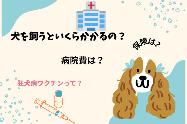 犬🐶を迎えるにあたって、かかるコストをざっくりまとめてみました。