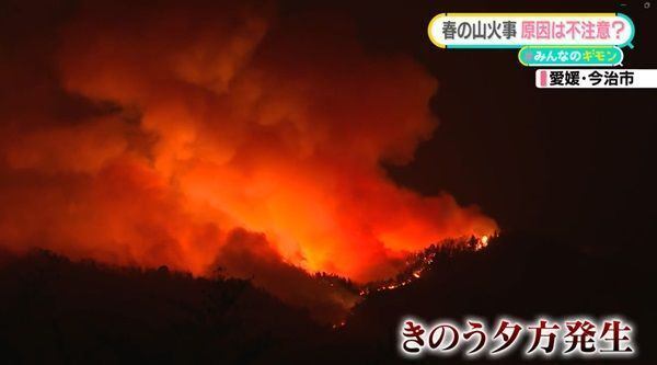 【守る力】山火事による停電に備えてできること—今こそ考えたい防災対策