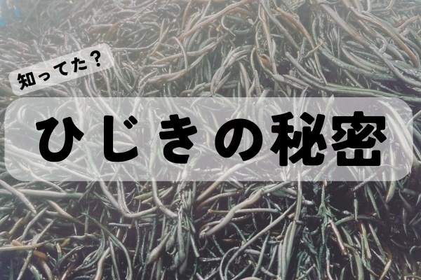 【今が旬】鉄分の王様「ひじき」の秘密！