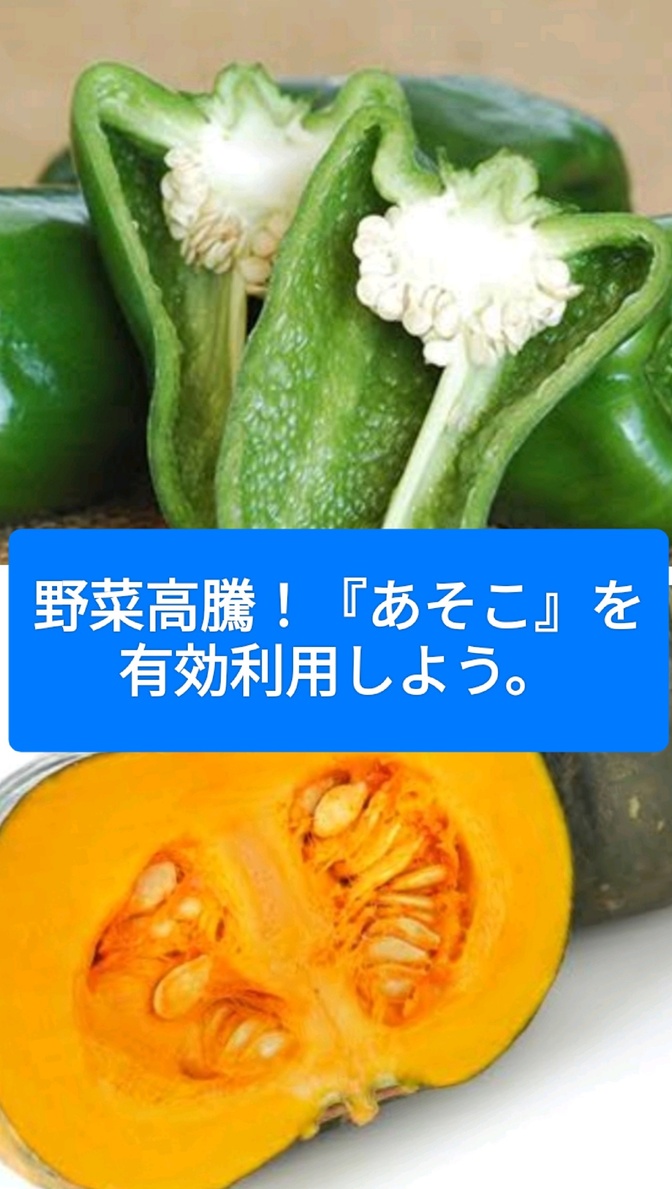 野菜が高騰している昨今、捨てがちな『あそこ』を有効利用しよう。