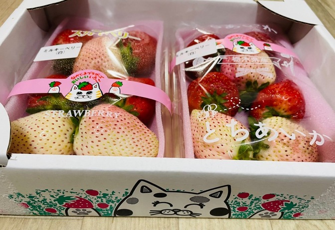 リベシティファーマーズマーケットで買った、すんごく大きいいちご🍓！
