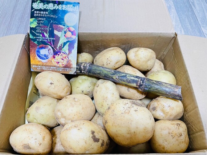 【ファーマーズマーケットで買った】島の宝石、にしゆたか　徳之島産じゃがいも　５ｋｇ