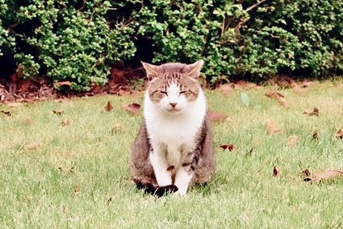 売るなインデックス！