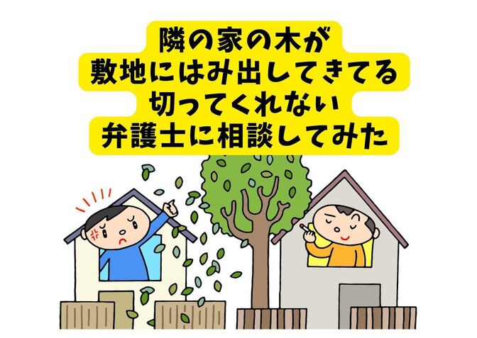 隣の家の木が敷地にはみ出してきてる・切ってくれない/弁護士に相談してみた