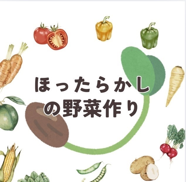 野菜作り１年目。貸し畑で雨水だけの野菜育てちゃいました☺︎
