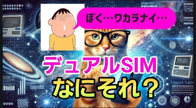 デュアルSIM…ボク…ワカラナイ…。