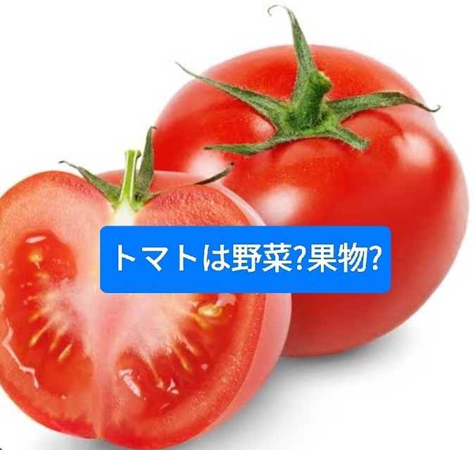 トマトは野菜?果物? 色々深堀しました。