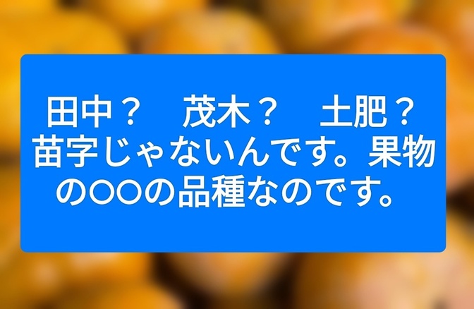 田中？　茂木？　土肥？　苗字じゃないんです。果物⚪︎⚪︎の品種なのです。