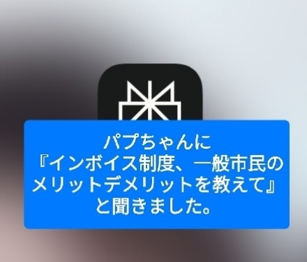 パプちゃんに『インボイス制度、一般市民のメリットデメリットを教えて』と聞きました。