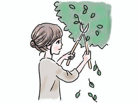 庭木の剪定について（ストレス発散）