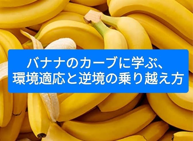 バナナのカーブに学ぶ、環境適応と逆境の乗り越え方