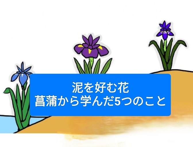 泥を好む花、菖蒲から学んだ5つのこと
