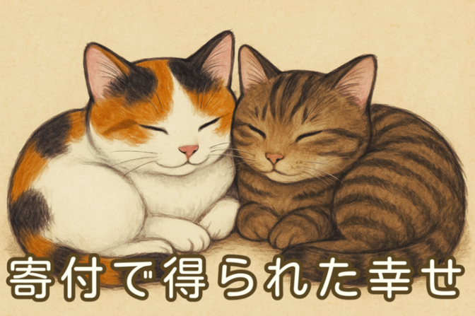 無力じゃない　〜寄付で得られた幸せ〜