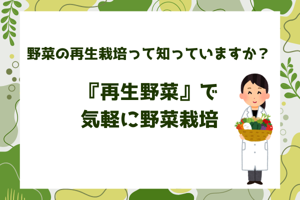 捨てるはずの野菜の切りくずが… 再生野菜で気軽に野菜栽培