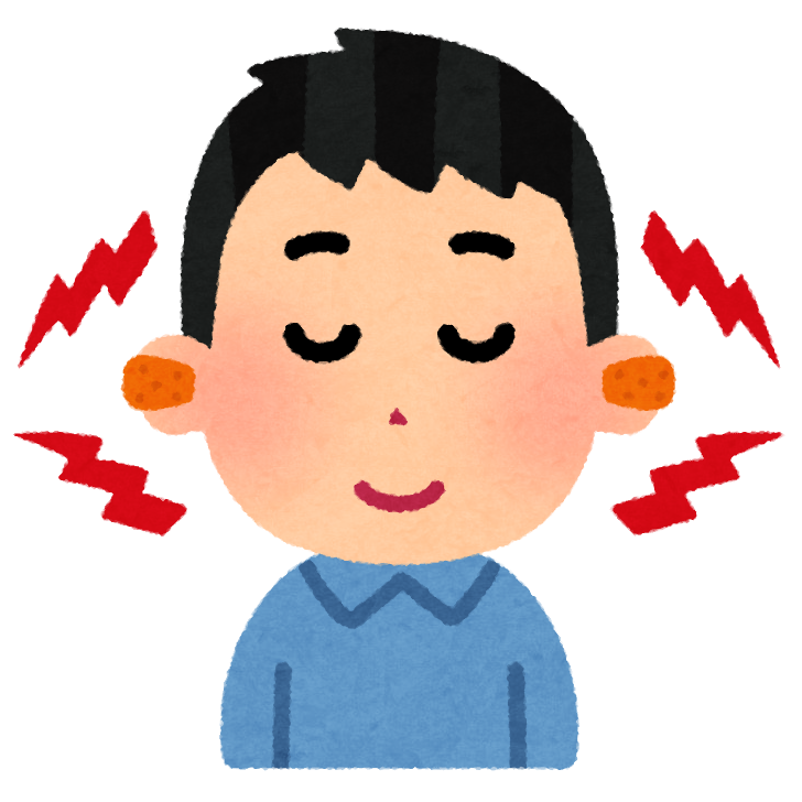 【使う力】演奏に集中したければ『耳栓』を使うべし！【健康資産】｜リベシティノウハウ図書館