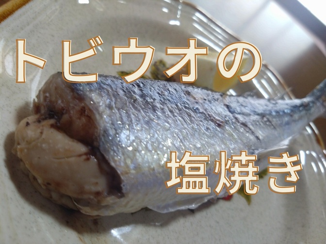 夏の味覚！トビウオの塩焼きレシピ