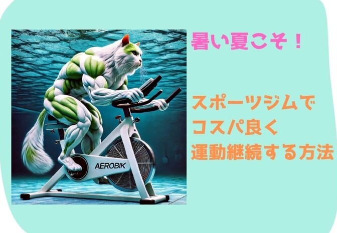 暑い暑い！夏こそ涼しいスポーツジムでコスパ良く運動継続を成功させましょう