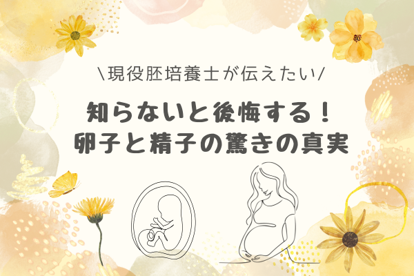 知らなかったら後悔する！ あなたは知ってる？卵子と精子の驚きの真実