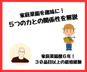【家庭菜園】家庭菜園を趣味に！5つの力との関係性を解説