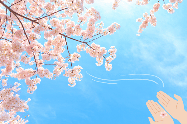 お金をかけずに、”小さな春🌸”を自宅で楽しむ方法